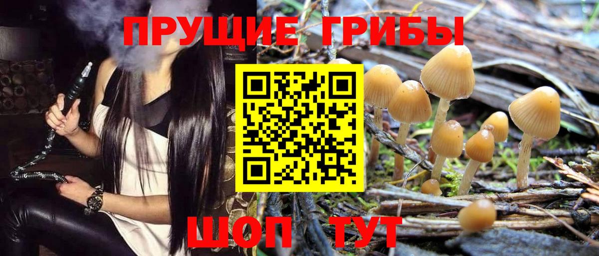 Галлюциногенные грибы мухоморы Черногорск