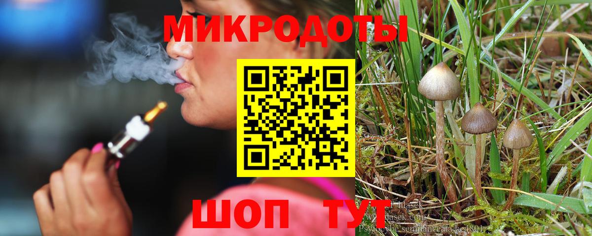 Черногорск  Галлюциногенные грибы Cubensis  Вход с VPN 